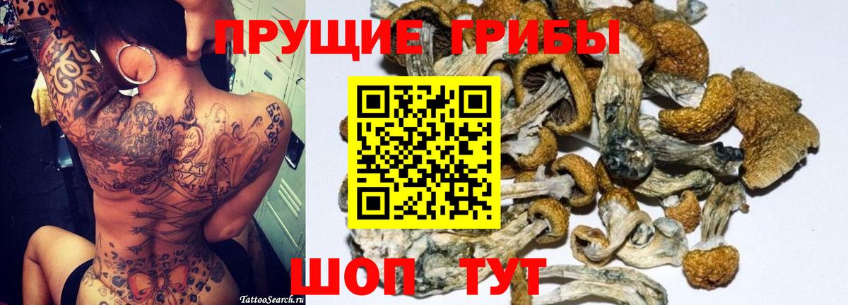 Псилоцибиновые грибы прущие грибы Можга