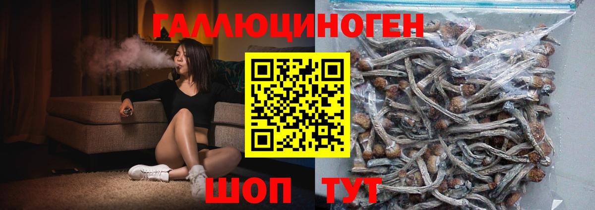 Псилоцибиновые грибы GOLDEN TEACHER  Вход с VPN  Галлюциногенные грибы Magic Shrooms  Можга 